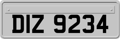 DIZ9234