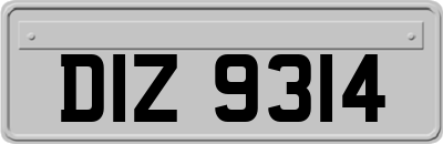 DIZ9314