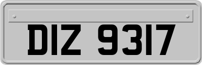 DIZ9317