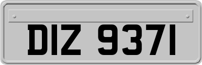 DIZ9371