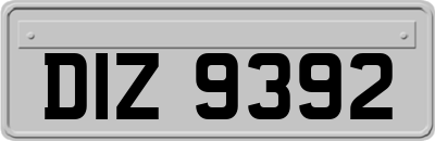 DIZ9392
