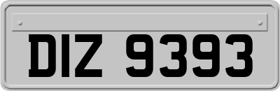 DIZ9393