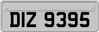 DIZ9395