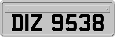 DIZ9538