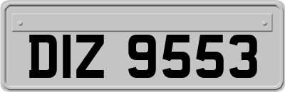 DIZ9553
