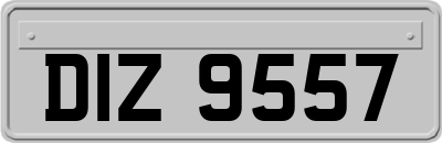 DIZ9557