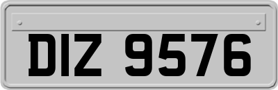 DIZ9576