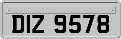DIZ9578