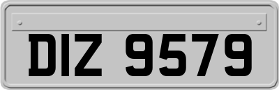 DIZ9579