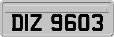 DIZ9603