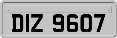 DIZ9607