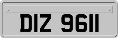 DIZ9611