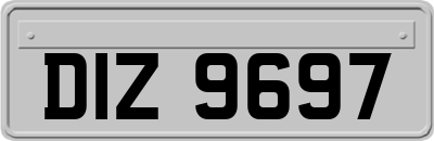 DIZ9697