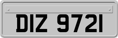 DIZ9721