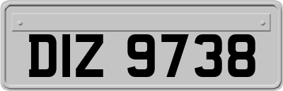 DIZ9738