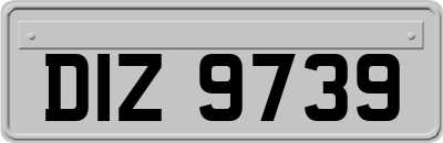 DIZ9739