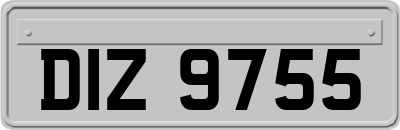DIZ9755
