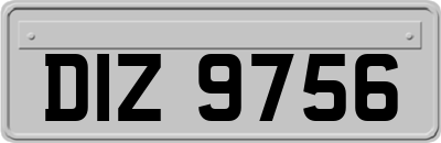 DIZ9756