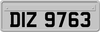 DIZ9763