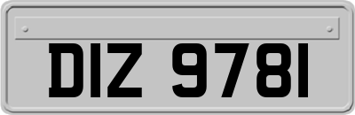 DIZ9781