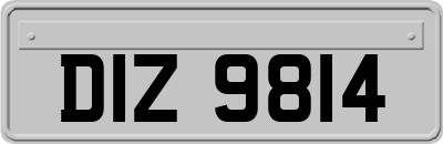 DIZ9814