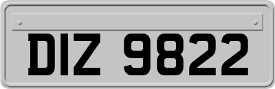 DIZ9822