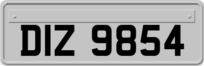 DIZ9854