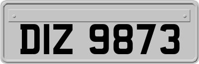 DIZ9873