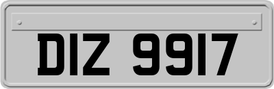 DIZ9917
