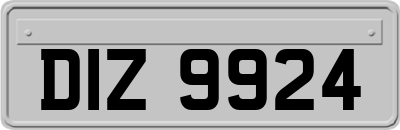 DIZ9924