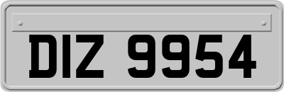DIZ9954
