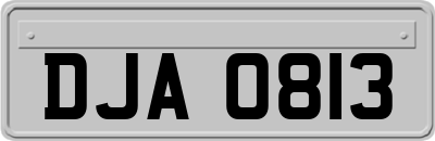 DJA0813