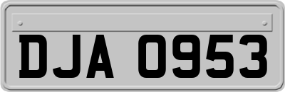 DJA0953