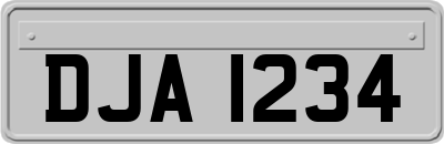 DJA1234