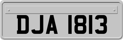 DJA1813