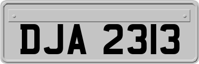 DJA2313