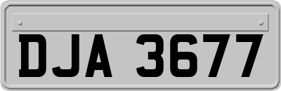DJA3677