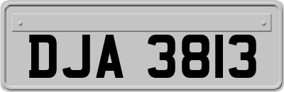 DJA3813