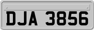 DJA3856