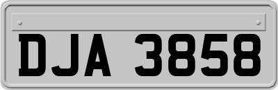 DJA3858