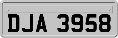 DJA3958