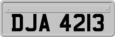 DJA4213