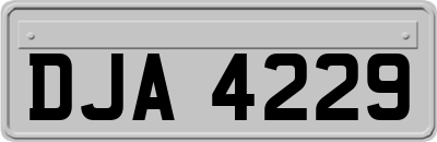 DJA4229
