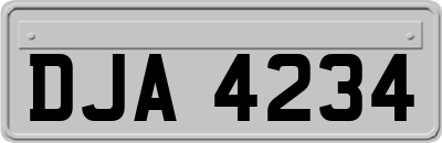 DJA4234