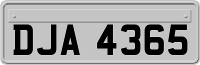 DJA4365