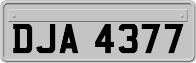 DJA4377