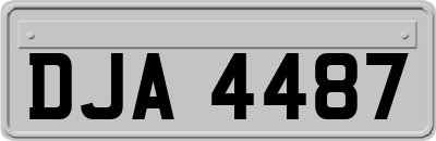 DJA4487