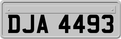DJA4493