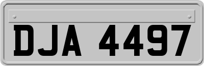 DJA4497