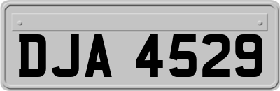 DJA4529